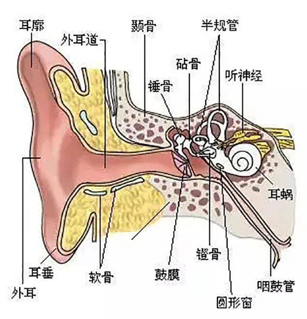 听力|长时间耳鸣你要考虑这三点 成都民生耳鼻喉医院专治耳鸣