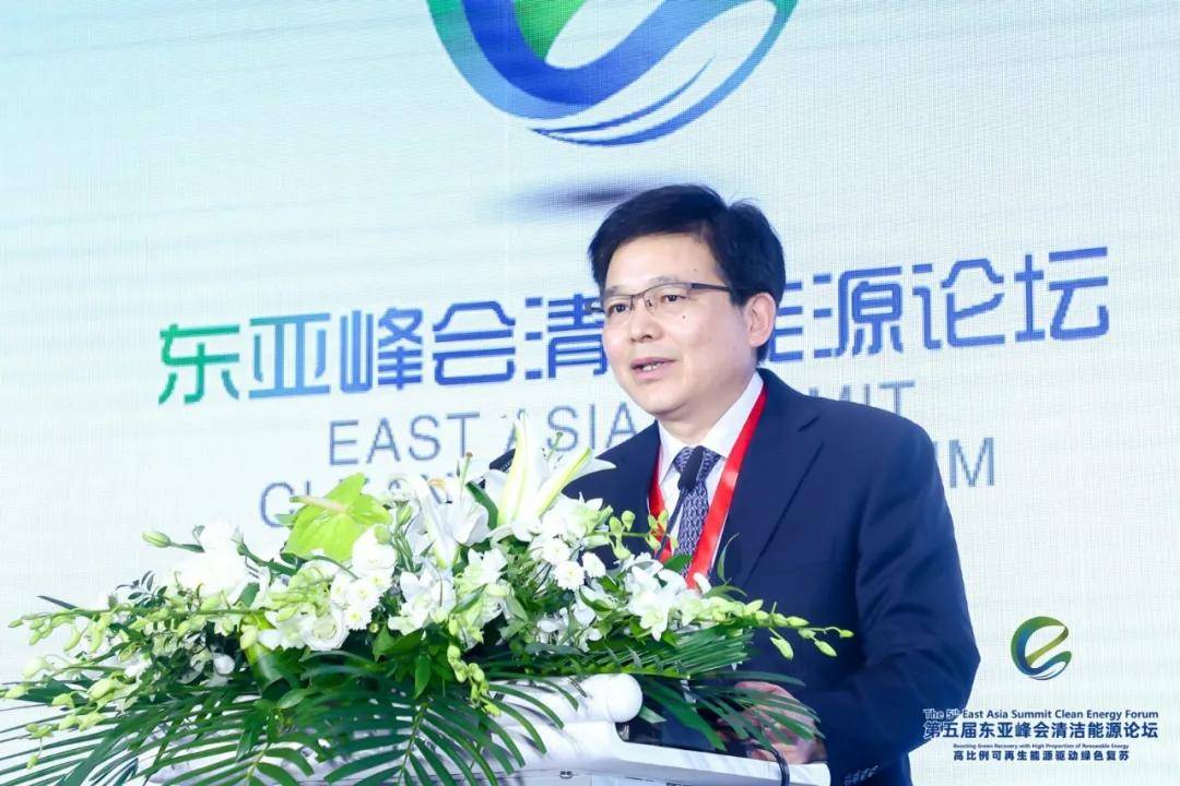 水电总院彭程:推动风电,太阳能发电2030年装机达12