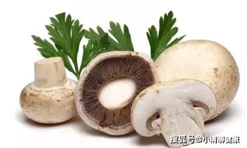 什么食物清理肺 9f44e4a6c23441a3ad7a94249a9d5f2d.jpeg