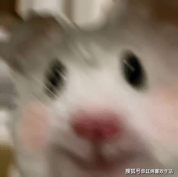 aa771f9c54a6495d8b9cb70472064b93.jpeg