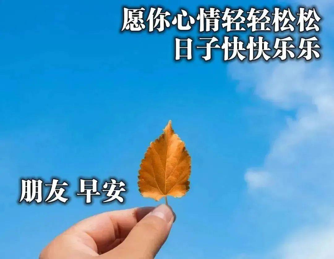 2021牛年最美早安问候图片鲜花带字 最新早上好问候语图片带字温馨