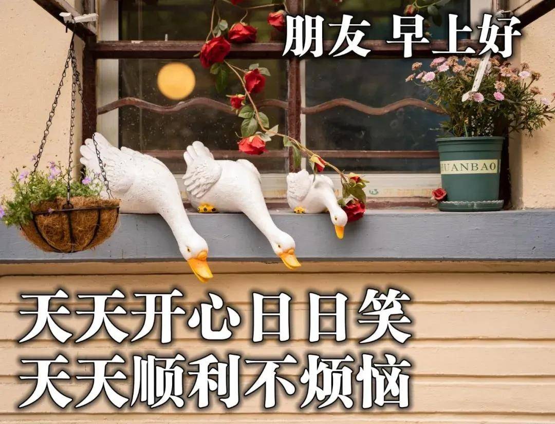 原创8张创意好看的冬日风景清晨早上好祝福图片免打字聊天的早安问候