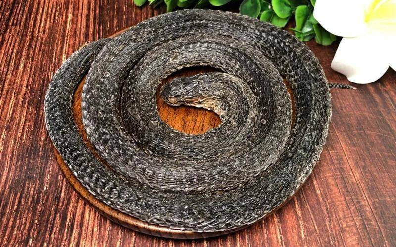 春风中药 | 酒乌梢蛇_作用_乌蛇_血清