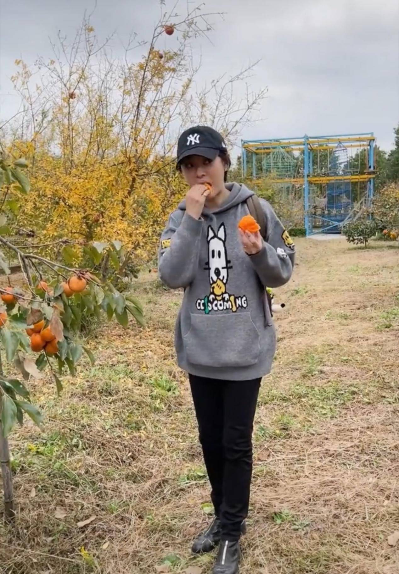 庄园 孙俪打卡水果庄园，穿卡通卫衣配紧身裤打扮年轻，偷吃柿子太可爱