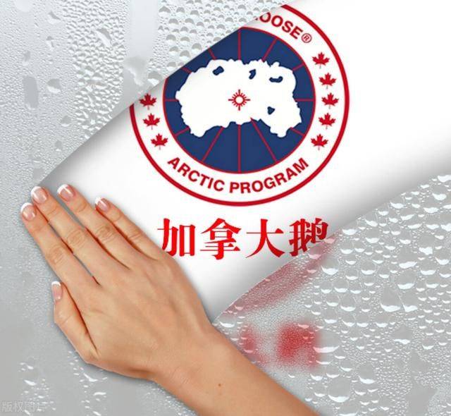 女款羽绒服品牌排行_十大中老年男士羽绒服品牌