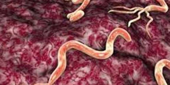 抗体|未婚夫查出乙肝,这婚还结吗?教授说的几句话太让人意外