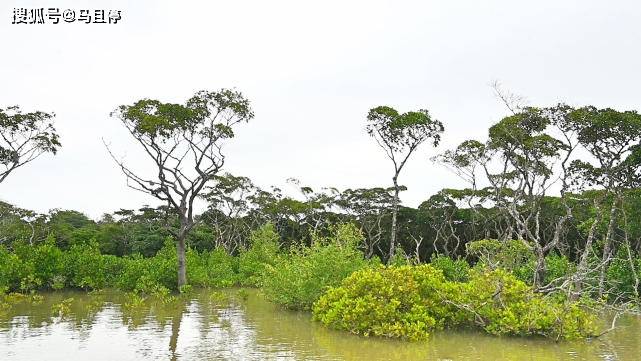 海口|中国适合过冬的旅游城市，集人文和自然双重景色，关键物价还不高