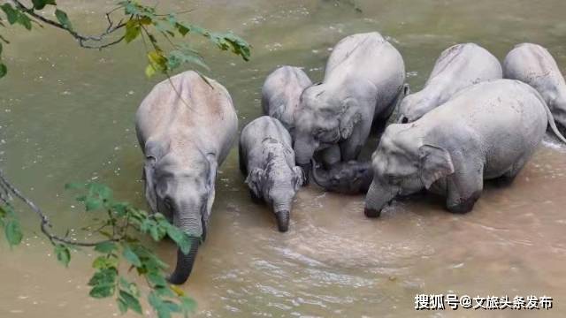 滇池|预告！跟着央视直播，领略云南 “山水林田湖草”多元之美！