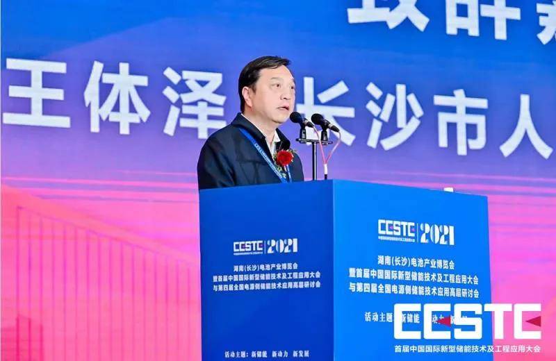 长沙市人民政府副秘书长王体泽