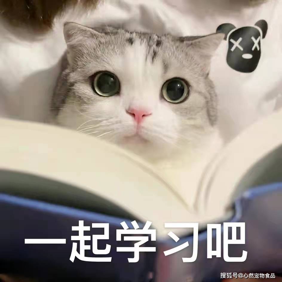 猫咪|主食包居然藏着小秘密？