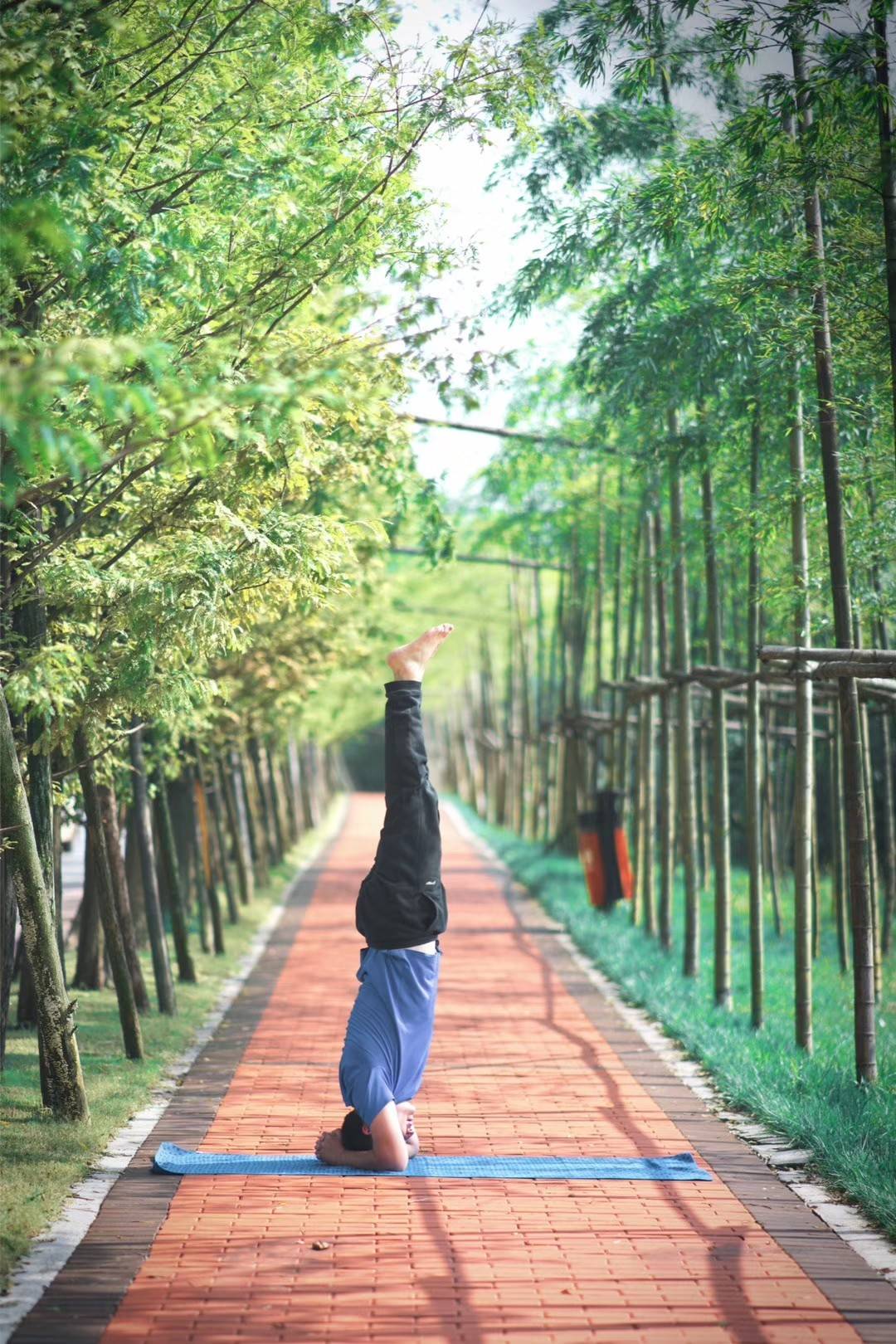 中国|世外康养，引领度假式居家康养生活新方式