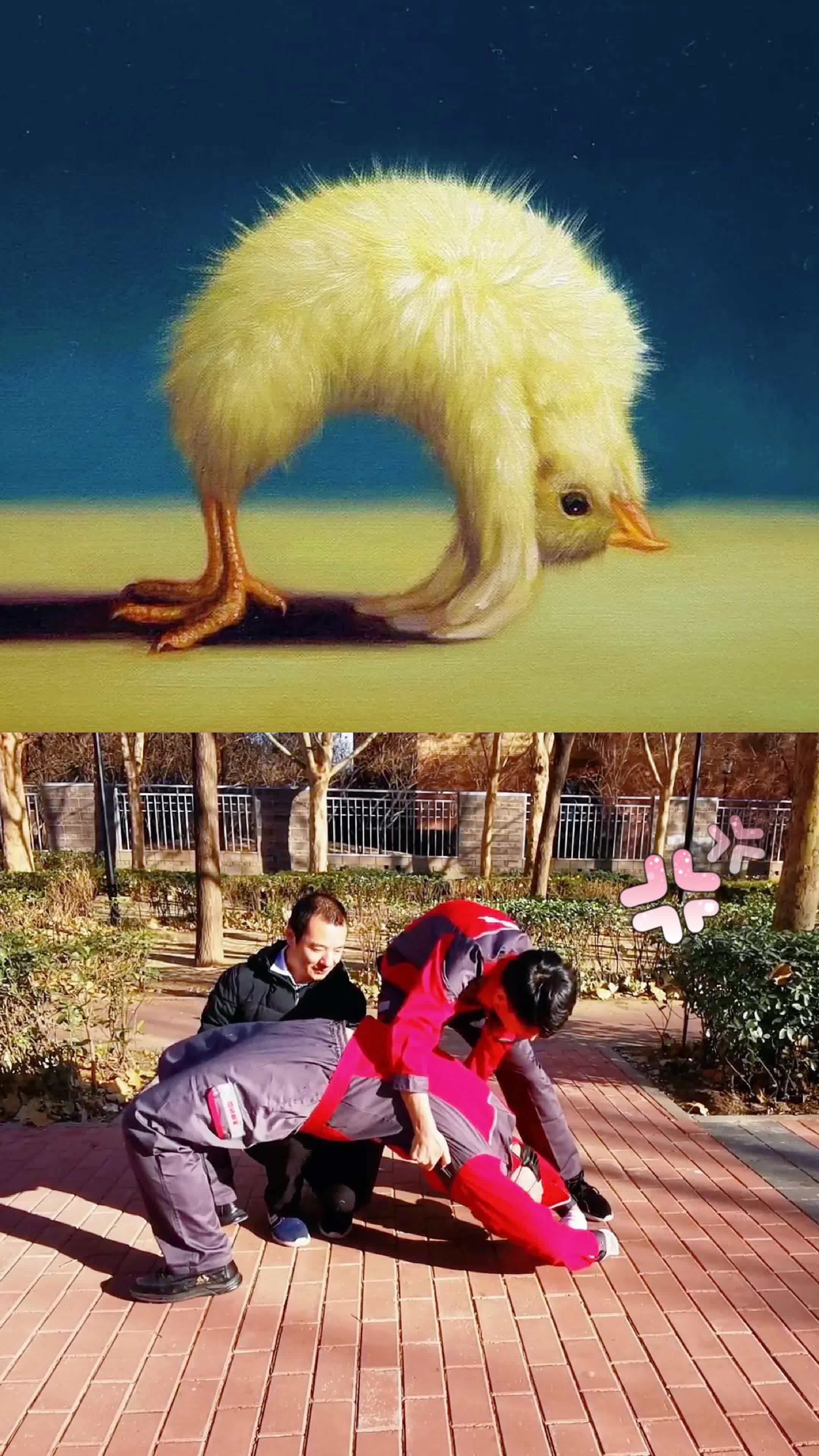 搬家师傅版小鸡瑜伽来挑战啦小鸡瑜伽模仿大赛