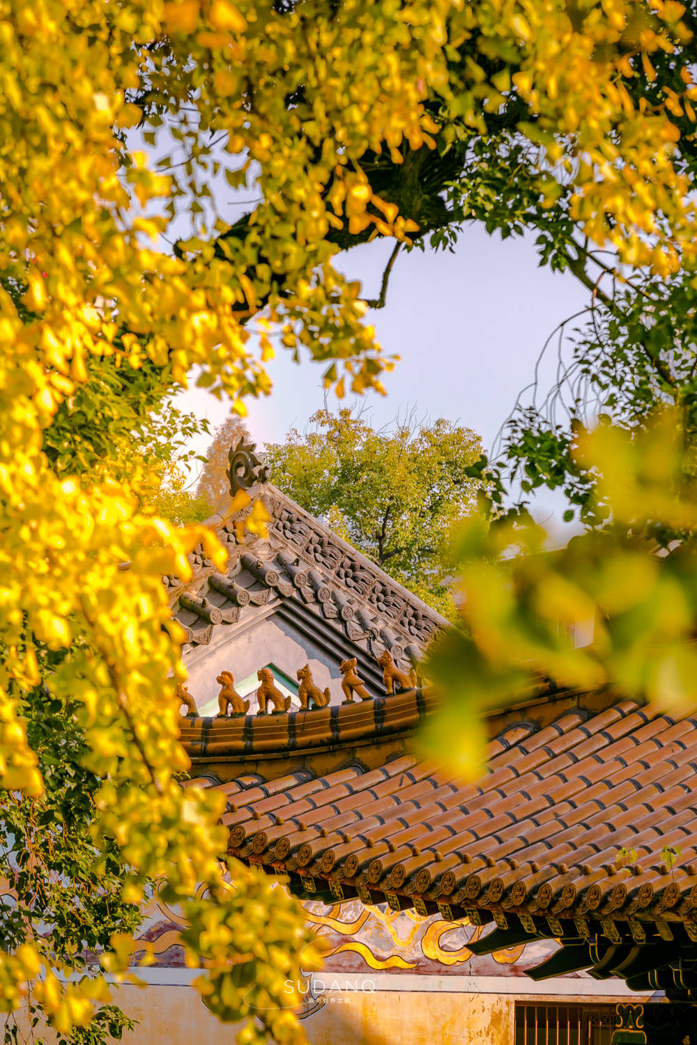 佛门|武汉的这座古寺曾被10位皇帝护持过，已有1600多年历史，门票10元