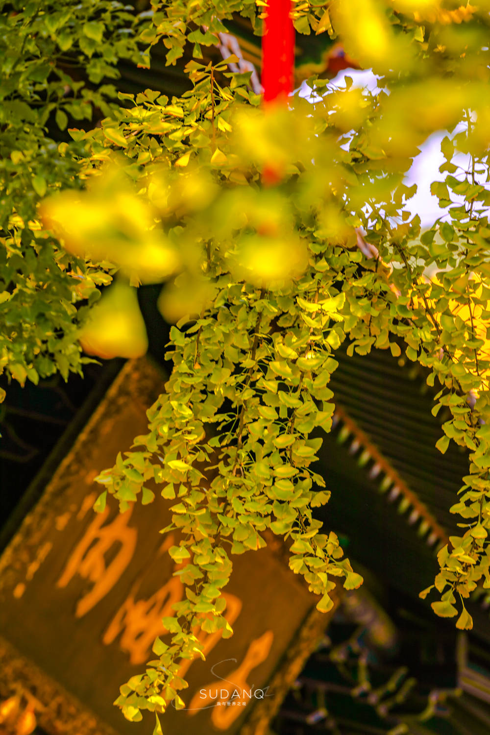 佛门|武汉的这座古寺曾被10位皇帝护持过，已有1600多年历史，门票10元