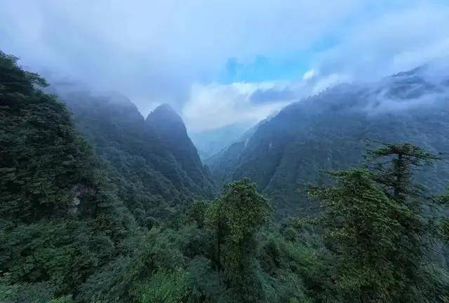 高山仰止一呼一吸,魂歸自然圖源 / 峨眉山景區來源:智遊天府資訊返回