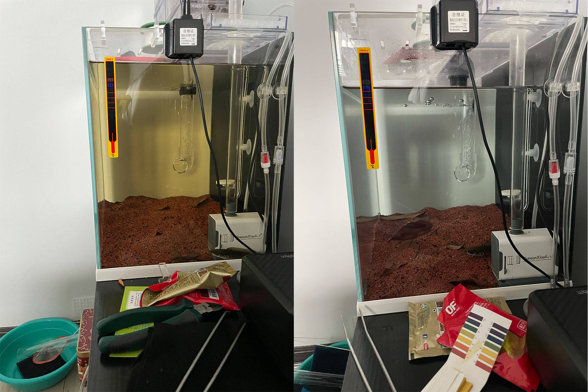 鱼缸下黄粉后水发黄怎么办鱼缸里面加了黄粉水变黄了怎么除去黄颜色