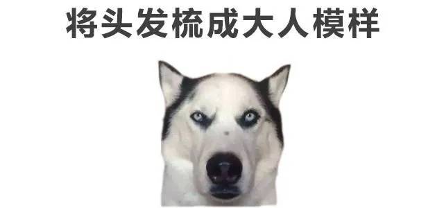 0753f79cc35d4b538366f997d25cbd51.jpeg