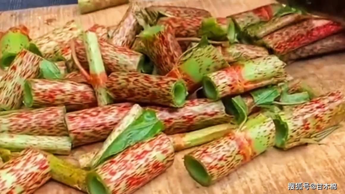 冒芽|儿时吃过的山野零食:酸筒杆,你还记得吗?它的根茎还能染色哦