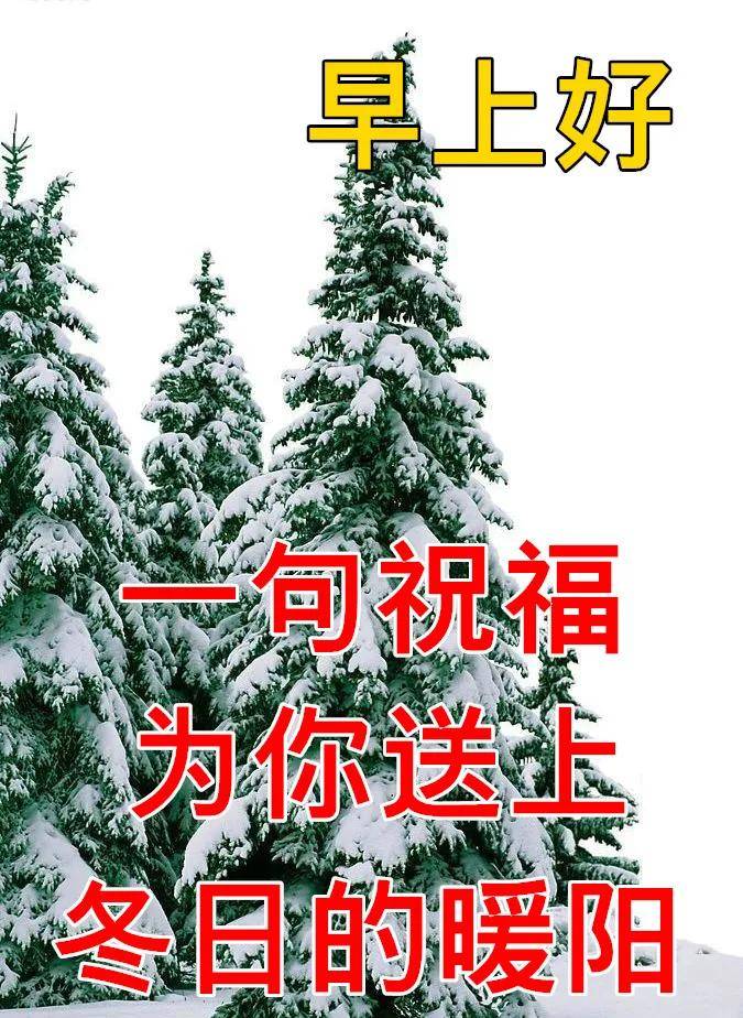 12月7日最新大雪早上好日常祝福语大全