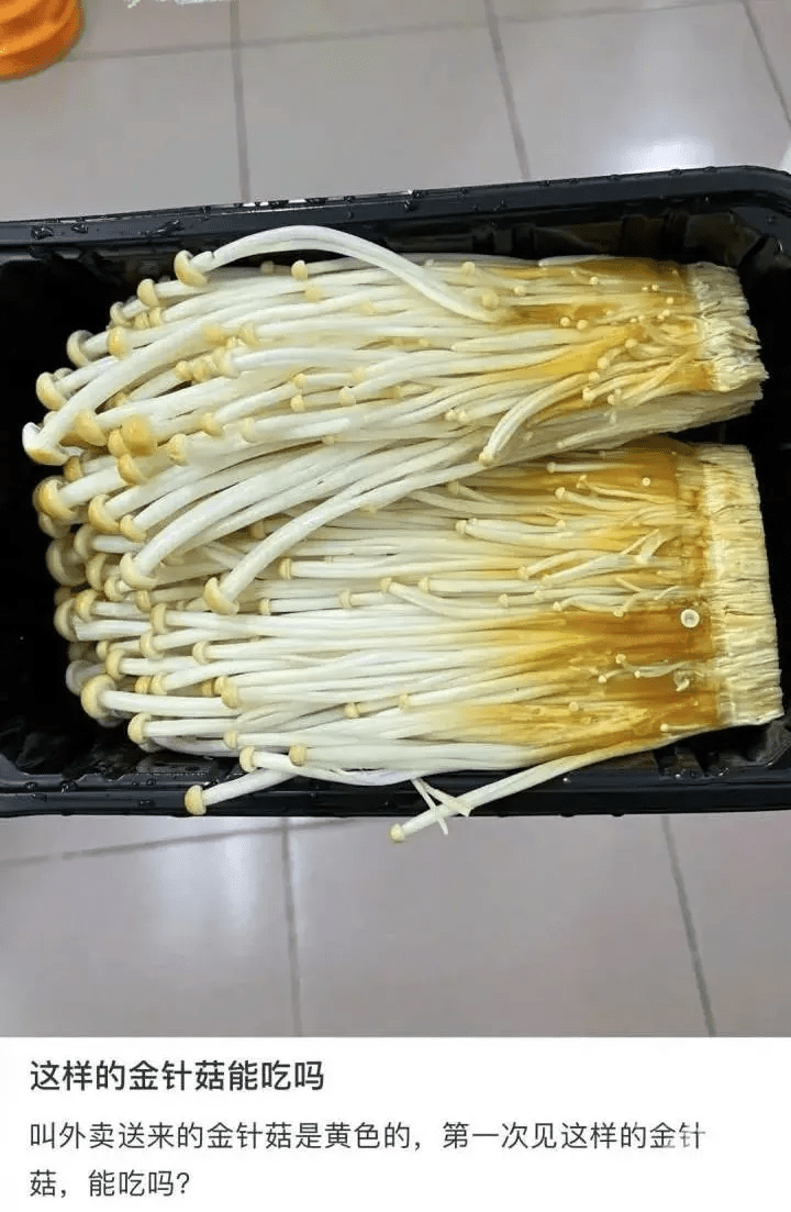 e42132109f05403aa828e38ae2a2c20f.png