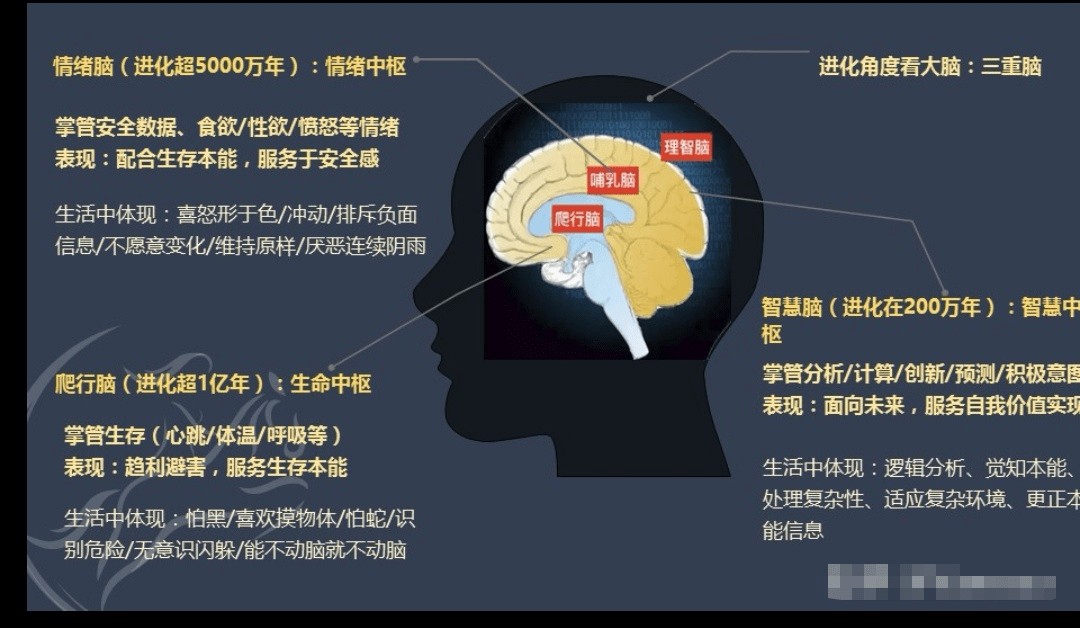 脑子图片大全心情图片