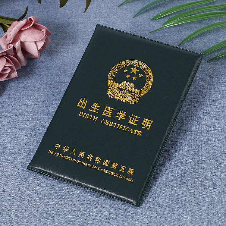 原创河南商丘4885份出生证被人盗走!拐走的孩子上户口?中介:不作废