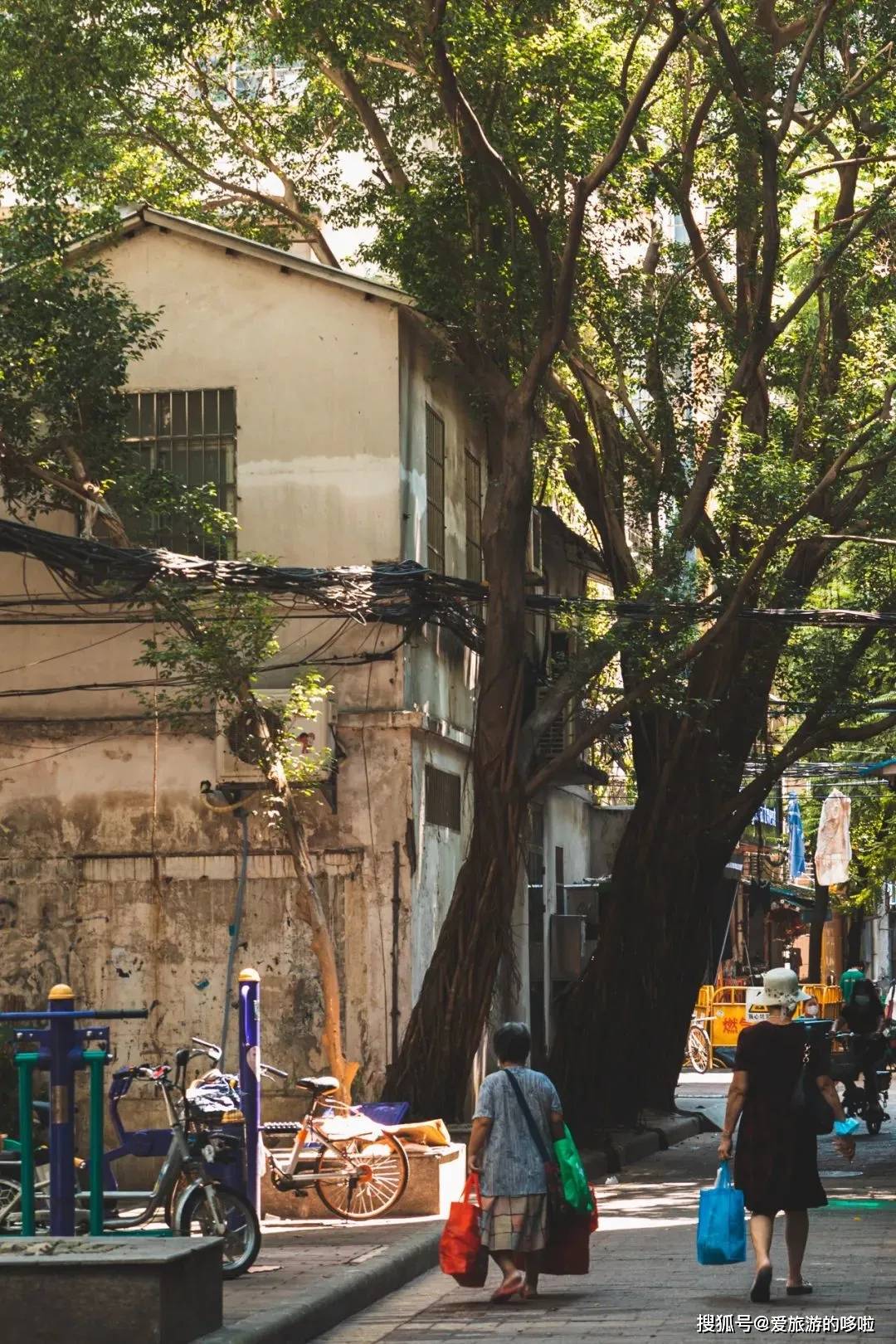 老广寻味法则：榕树头下必有美味！