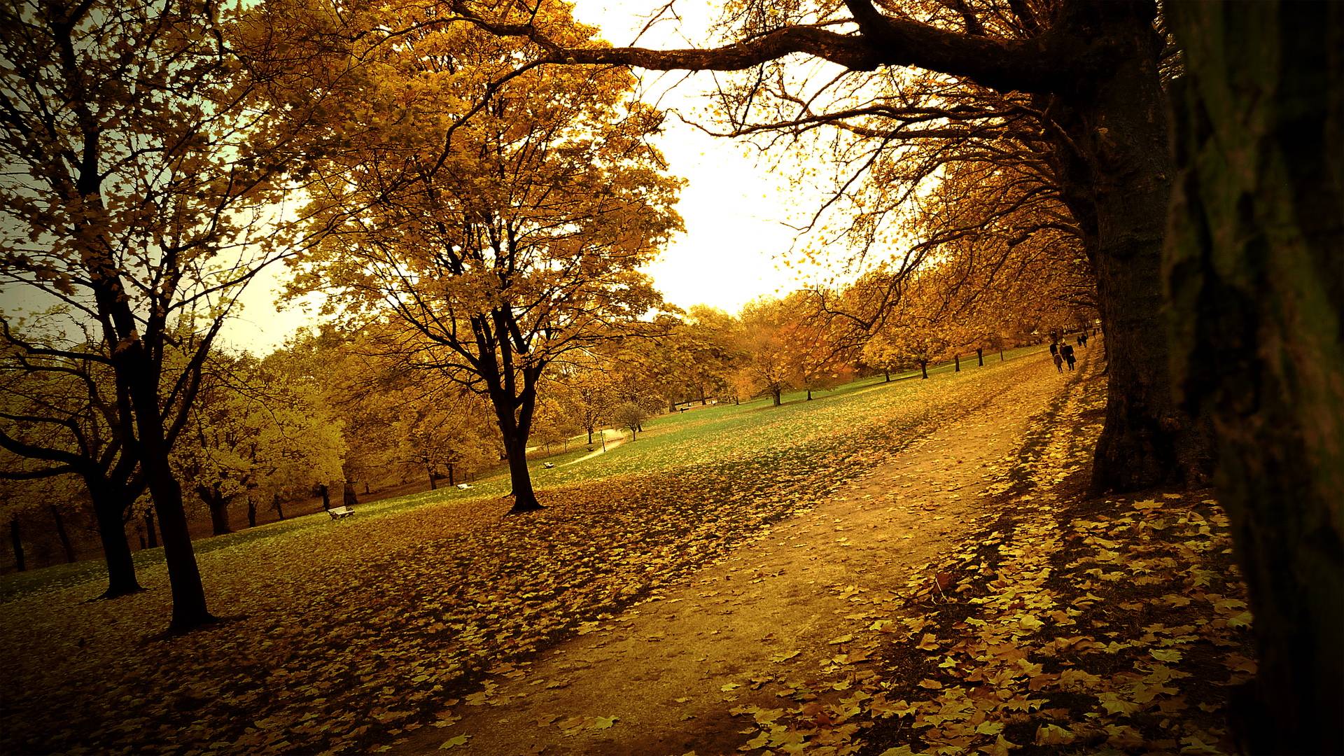 花开花落,云卷云舒,岁月沉淀了年少轻狂,也懂得了冷暖自知.
