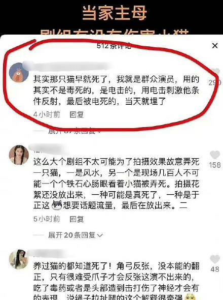 bcb76598093a437c96950a602ab42eba.jpeg