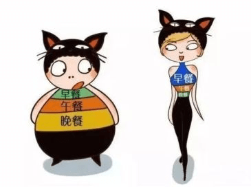 体力|WildFieldHealth|早上不吃饭有危害，那早上只喝水，不吃饭有什么危害？