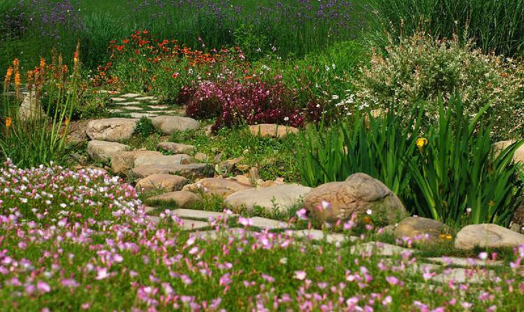 只需几步就能完成_景观_水景_卵石