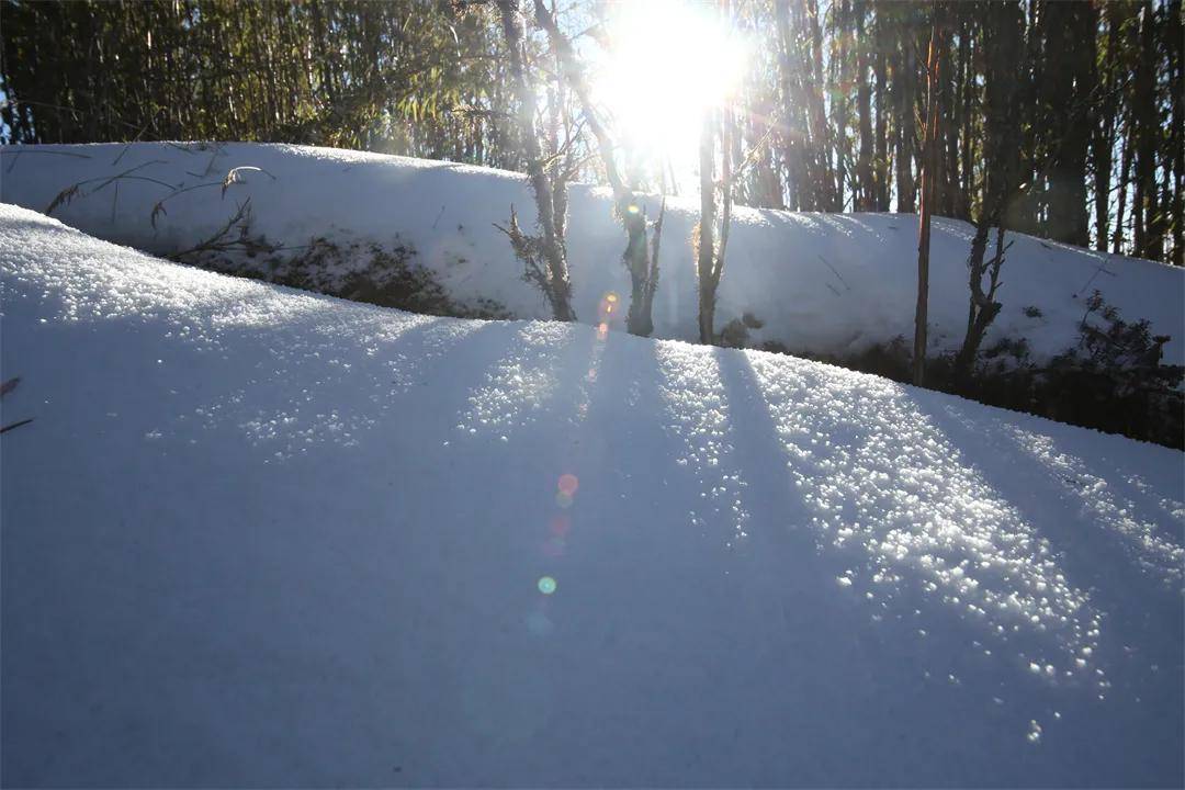 雪景|你还记得腾冲那些年的雪吗