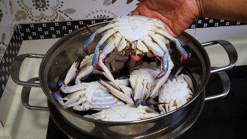 螃蟹蒸多长时间就没有蟹黄了 320bd287b515423096e6b619b9906136.jpeg