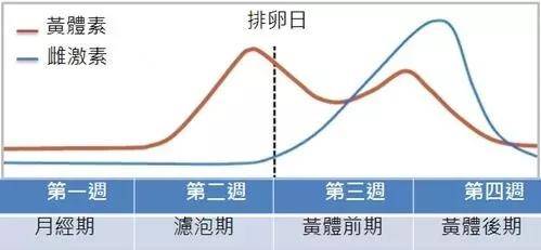 真的是氣出來的?_激素_女性_月經