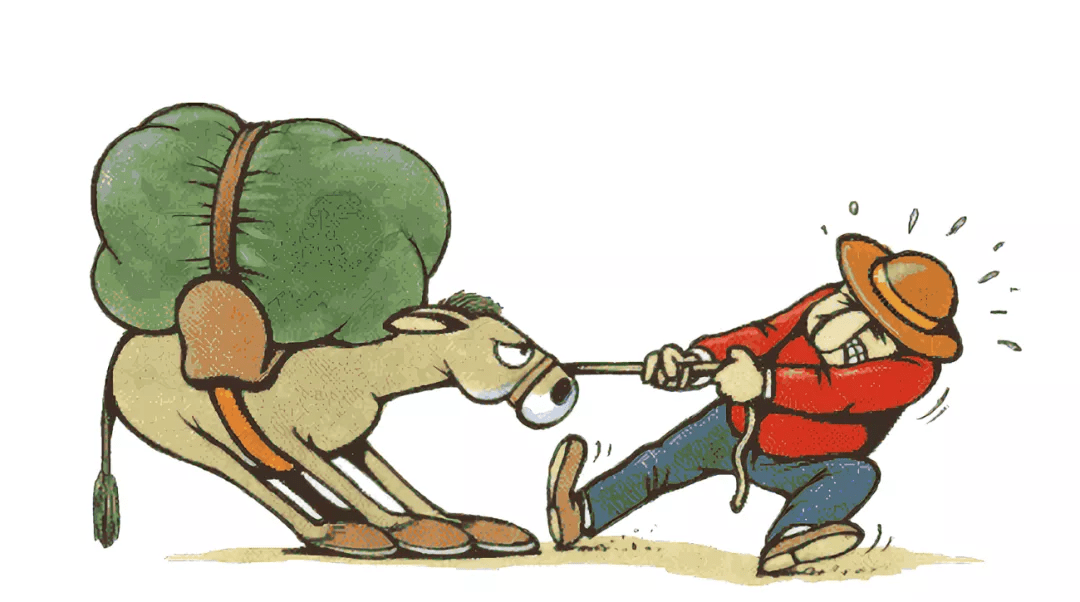 "奇葩""变态".他们或许真有病态的人格!_特点_行为_印象