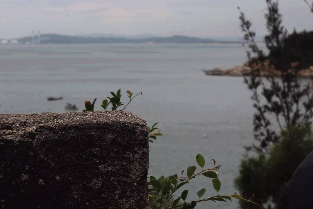 濠江两岸风光美