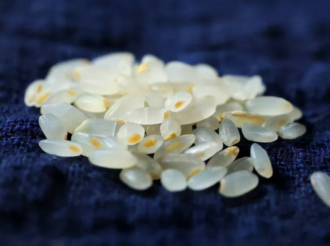 胚芽米你还没吃过吗快来看看胚芽米和大米有什么区别