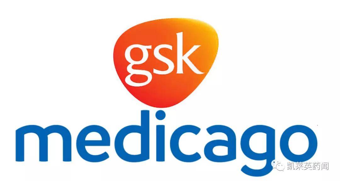 除与medicago合作外,gsk还与赛诺菲和sk bioscience合作了基于其佐剂