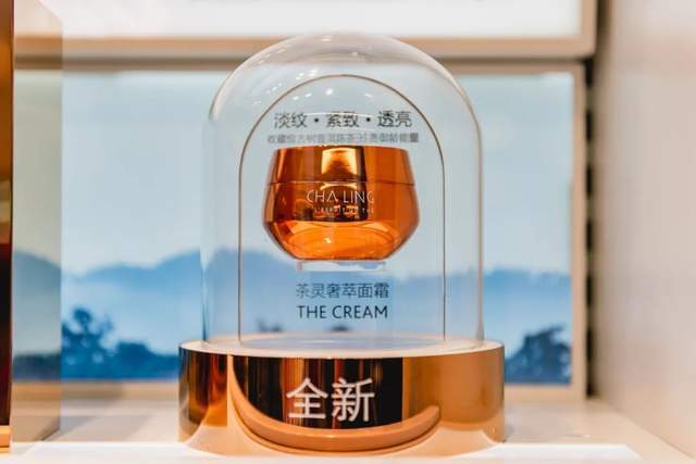 gogo置身茶林做SPA？随心挑选圣诞美礼？一站式美力空间全搞定！