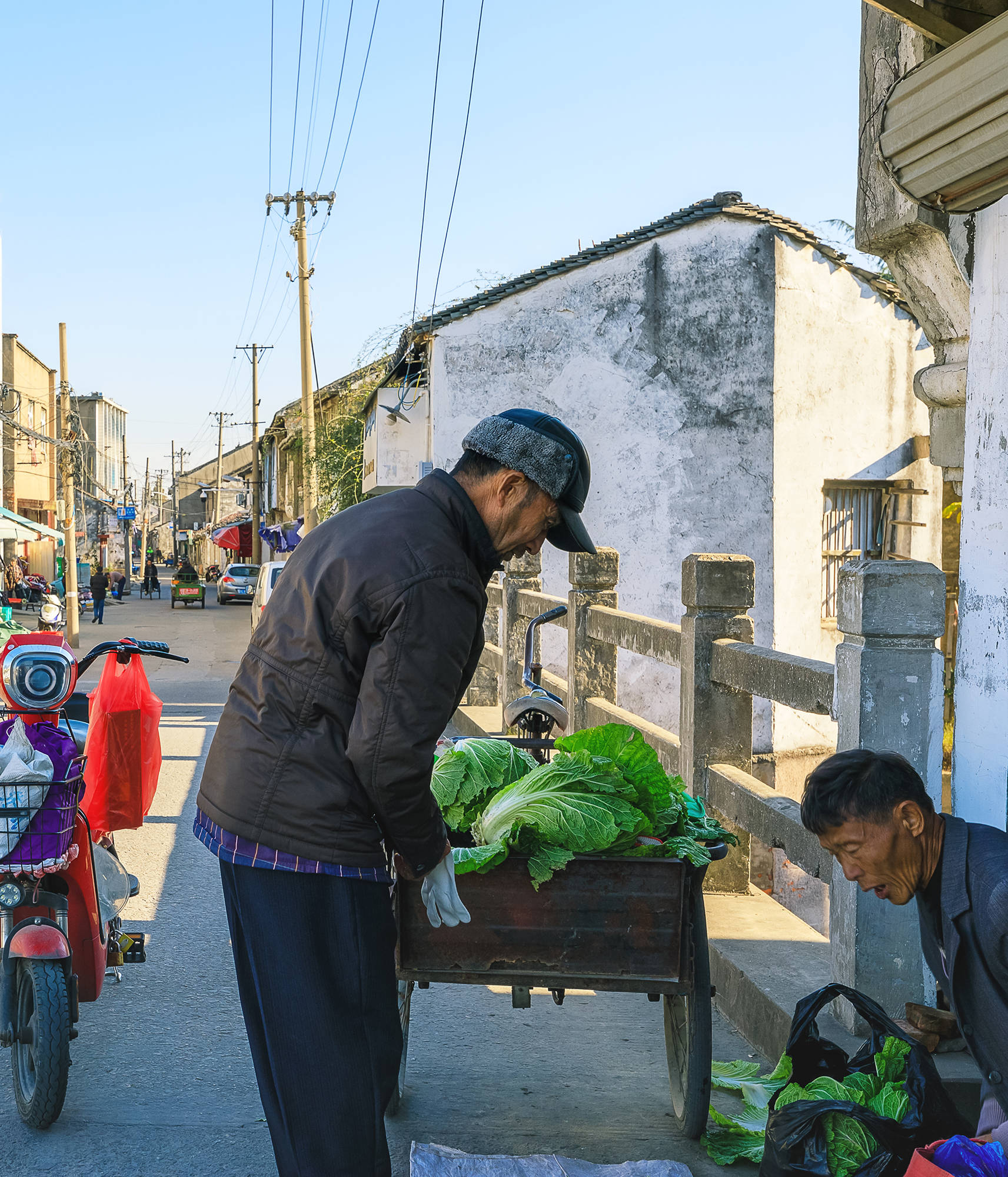 老街|古街塘河相伴的黄埭老街，碧云天、黄叶地，又到银杏金黄时