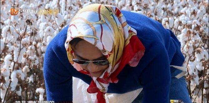 陈小春|张智霖上综艺大尴尬，叫一个比自己大5岁的人阿姨！