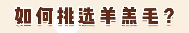 颜色 羊羔毛外套”穿搭示范，可盐可甜