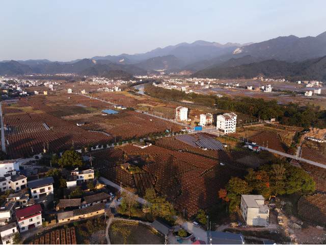 桂林资源县中峰镇田园风光冬季的金色大地美极了