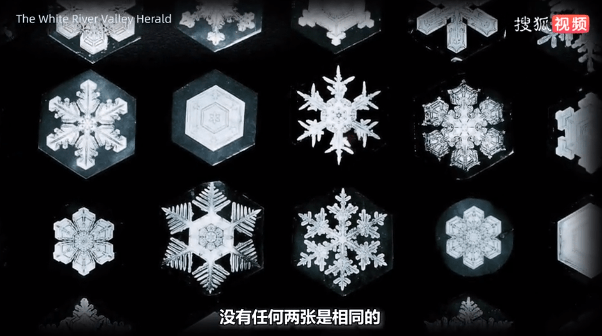 超百种雪花硬核大赏 最常见的竟是它