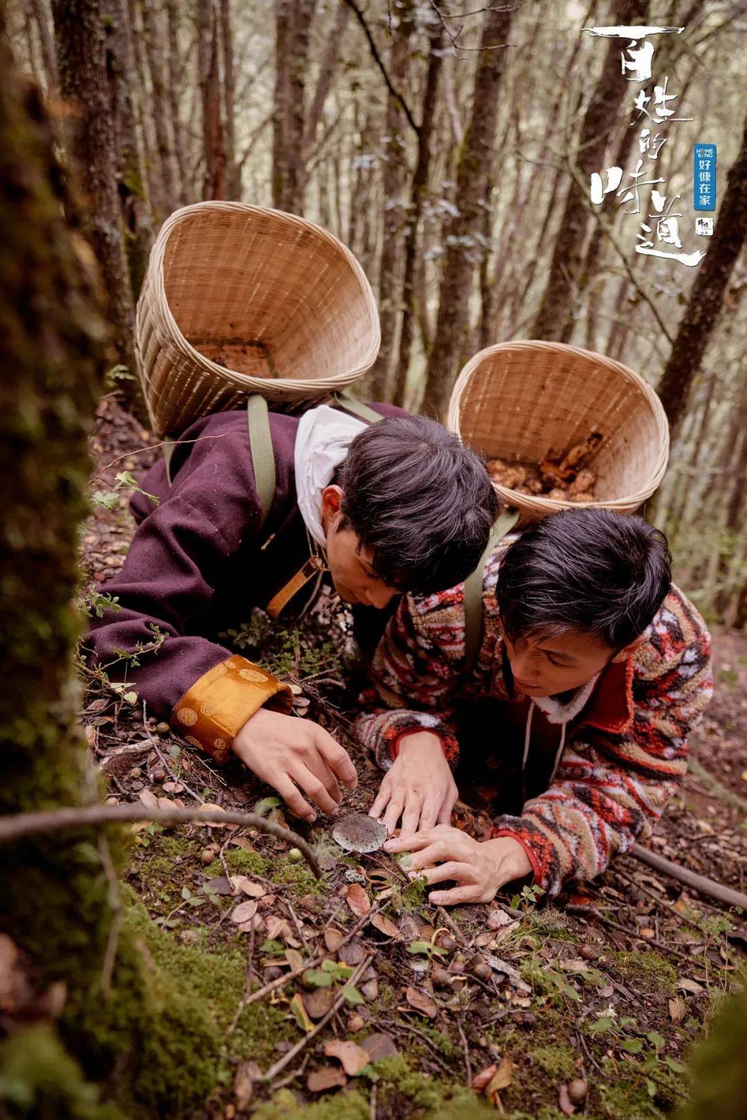 老张|《百姓的味道》出圈,是否缓解美食赛道的创新焦虑?