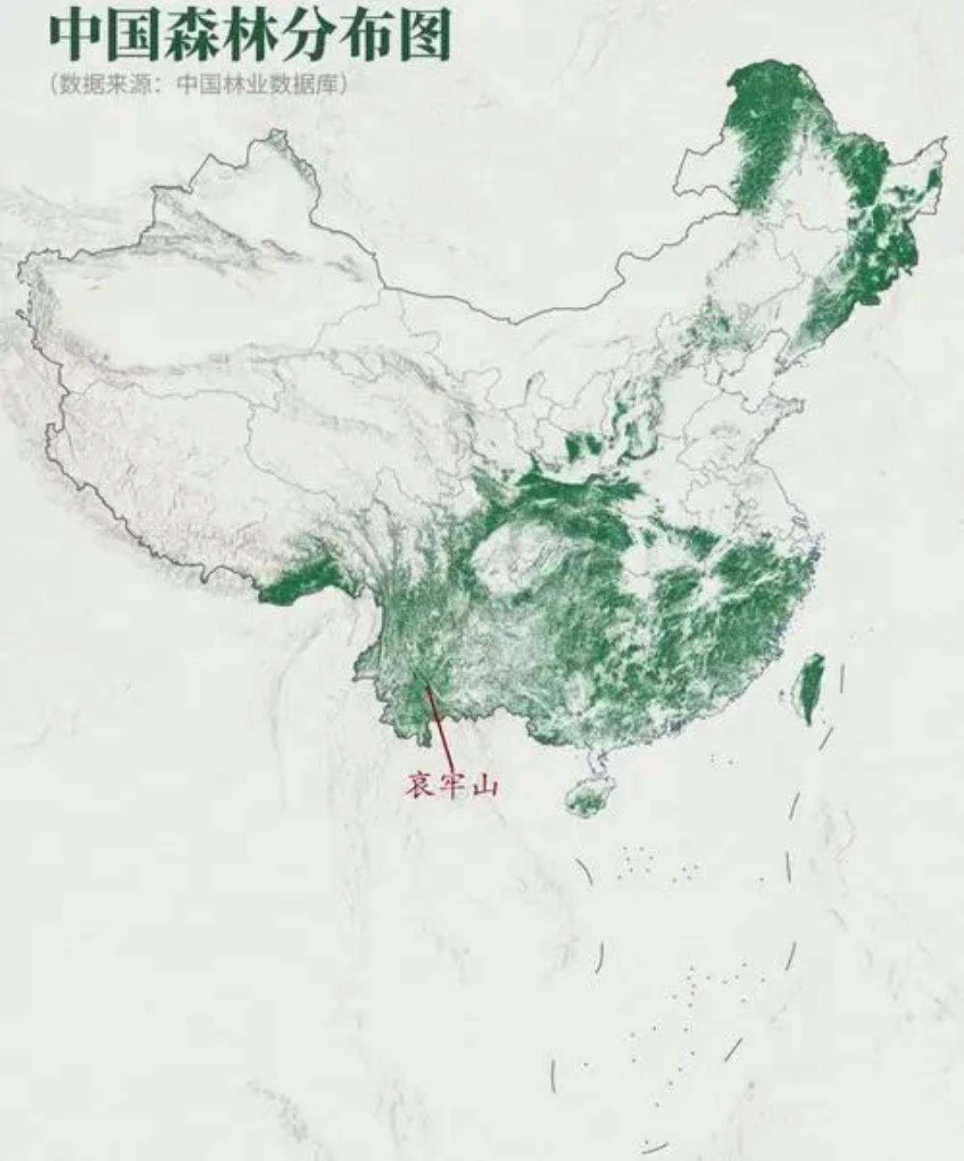 原创中国还有原始森林吗主要分布在哪些地方
