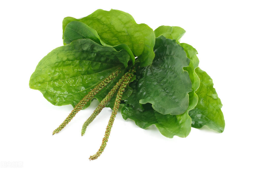 尿液|吃什么可以排出肾结石？医生：多吃这些食物有好处