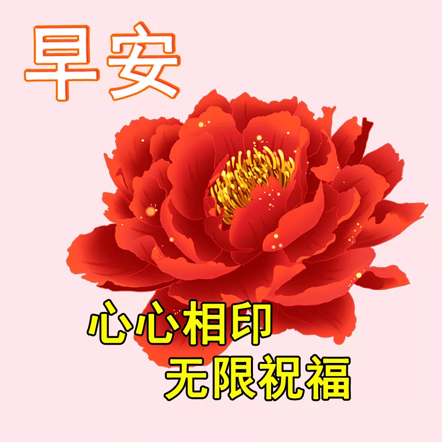 原创早上漂亮问候动图祝你今天精神棒