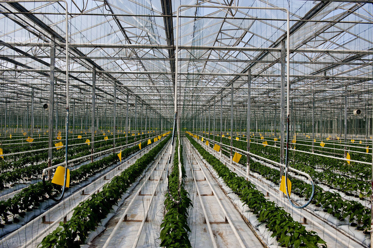 内蒙古加快健全现代农业全产业链标准体系助力乡村振兴