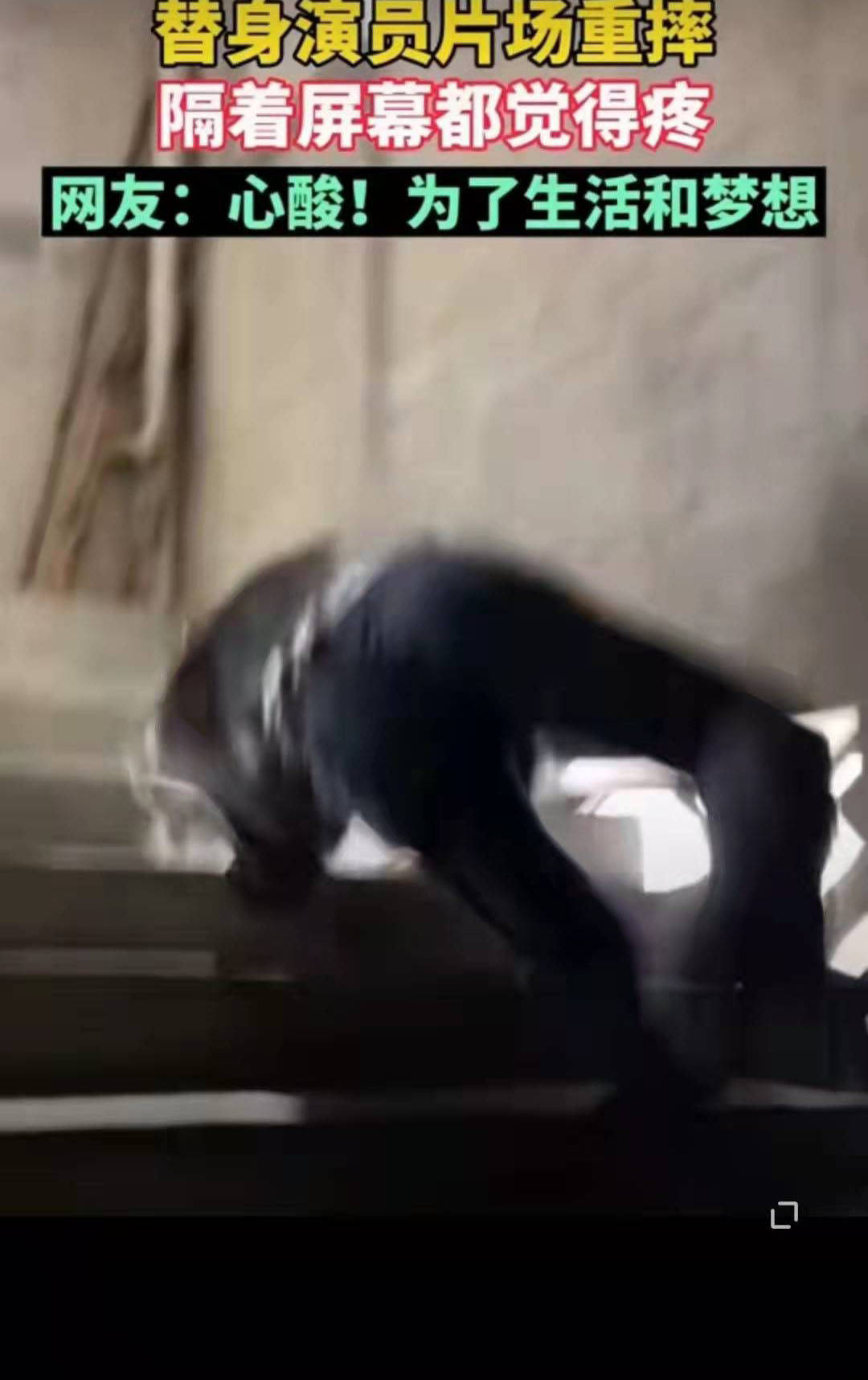 地方|配音抠图，这些都是假的，怎么在小动物、替身演员上喜欢较真呢？